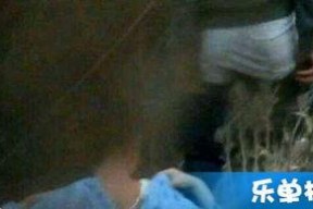 国产免费的野战视频,揭秘真实战场上的英勇瞬间